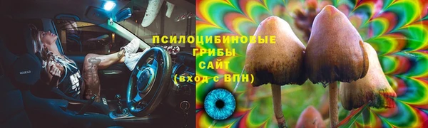 MDMA Богородицк