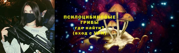 MDMA Богородицк