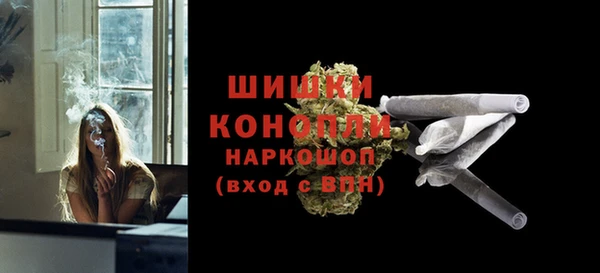 прущий лед Богданович