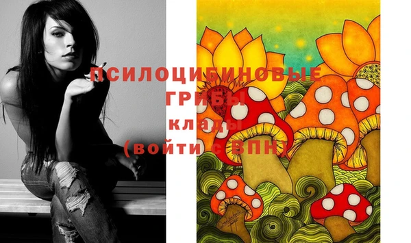 амф Бронницы