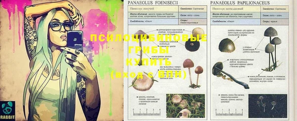 MDMA Богородицк