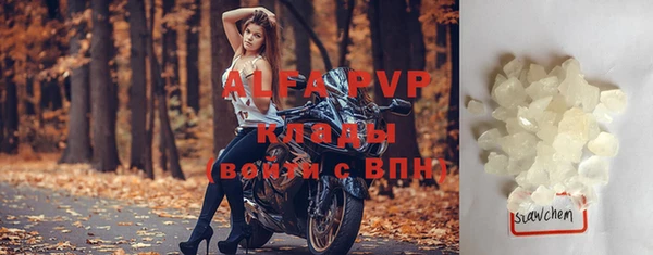 молекула духа Бородино