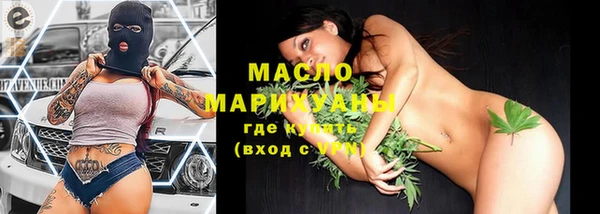 прущий лед Богданович
