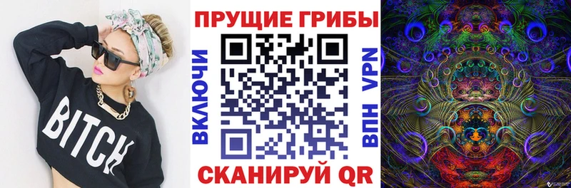 купить наркоту omg зеркало Галлюциногенные грибы Psilocybine cubensis Купино
